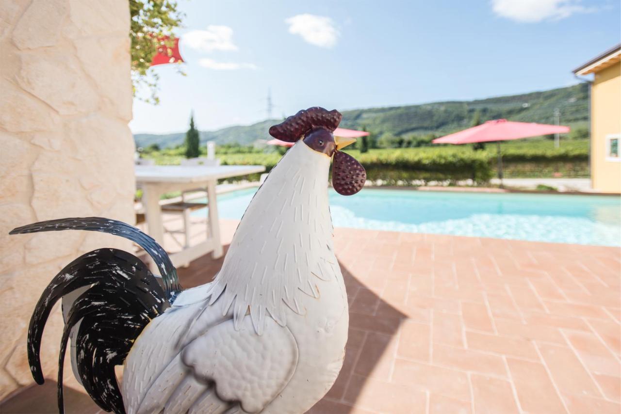 Maso Maroni Agriturismo Quinto di Valpantena Extérieur photo