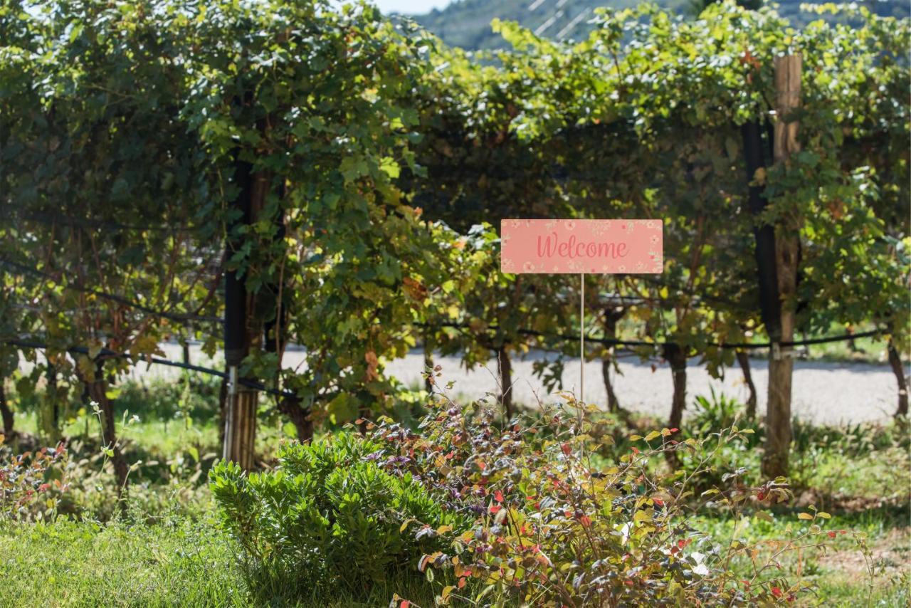 Maso Maroni Agriturismo Quinto di Valpantena Extérieur photo